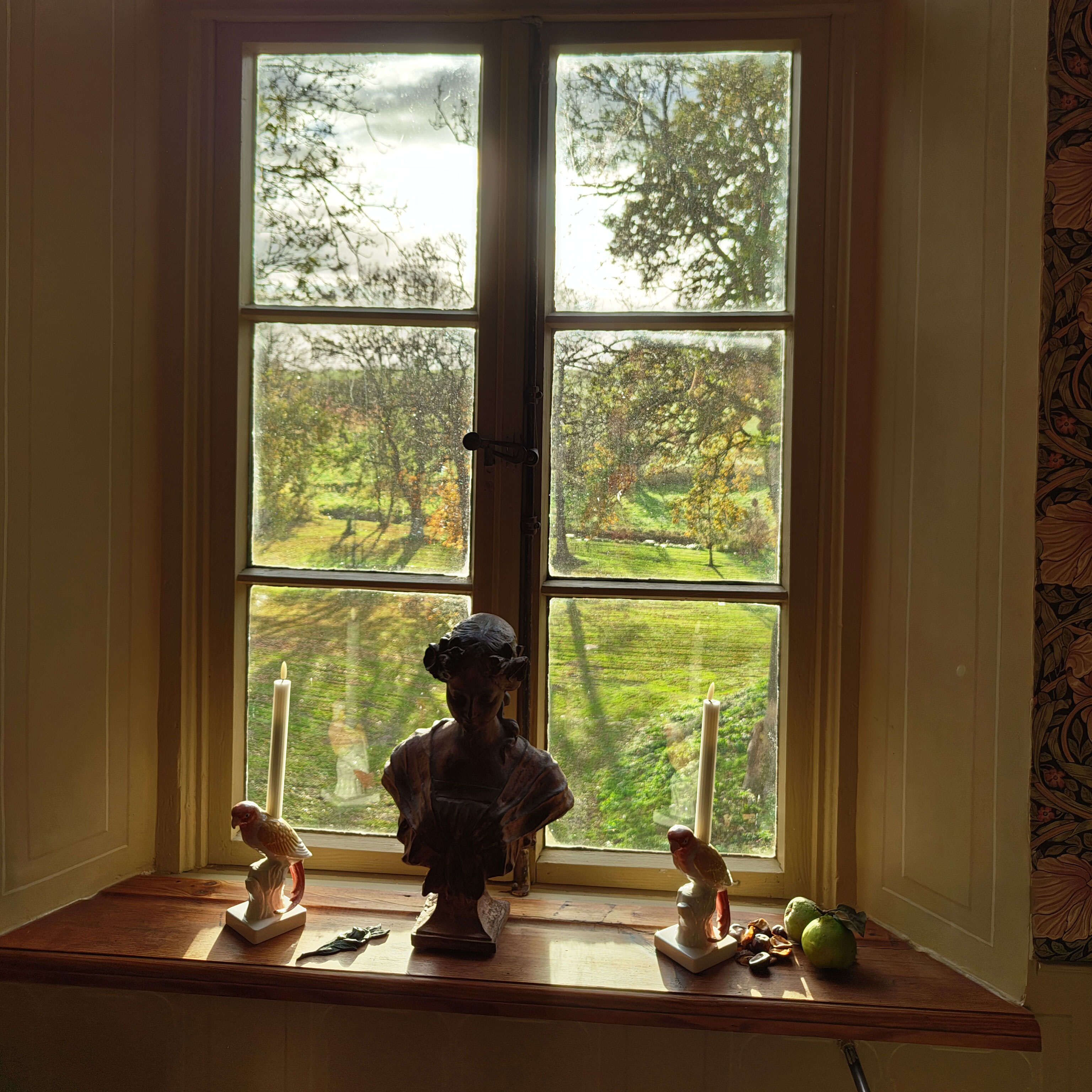 Der Blick in den Park