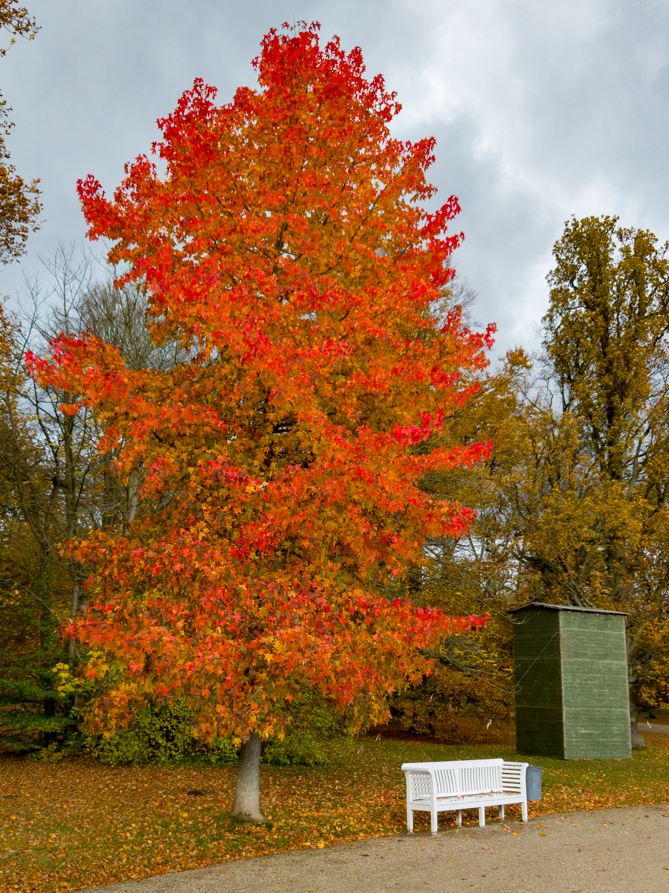 Der Herbst in voller Pracht im Park vom Schloss