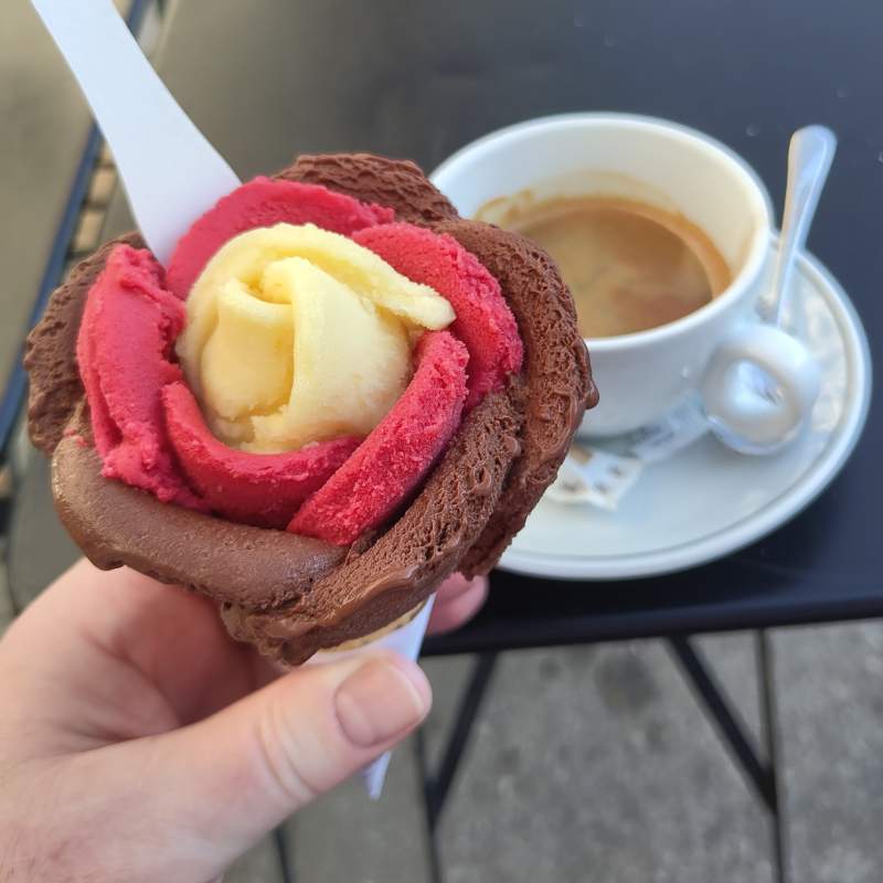 Eine Eisblume bei 25° C