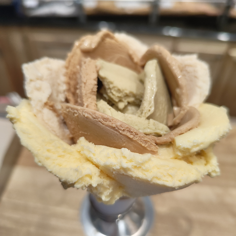 Nächtliche Eisblume