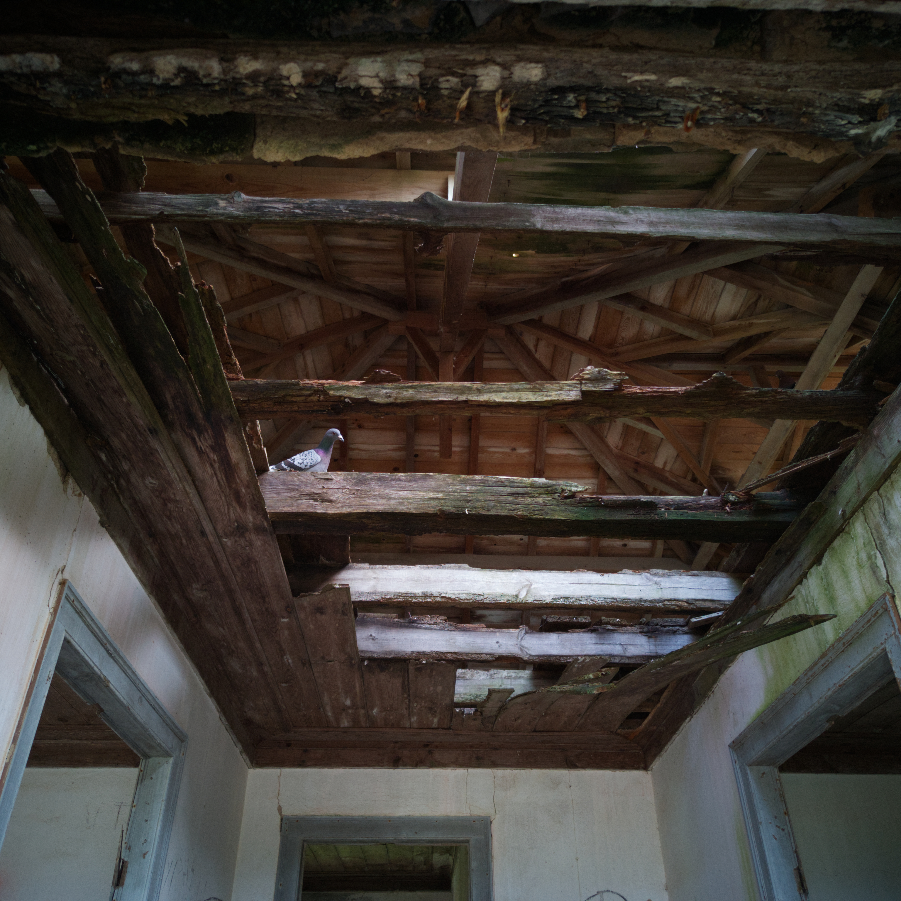 Der Eingang wird streng bewacht (keine Möwe)