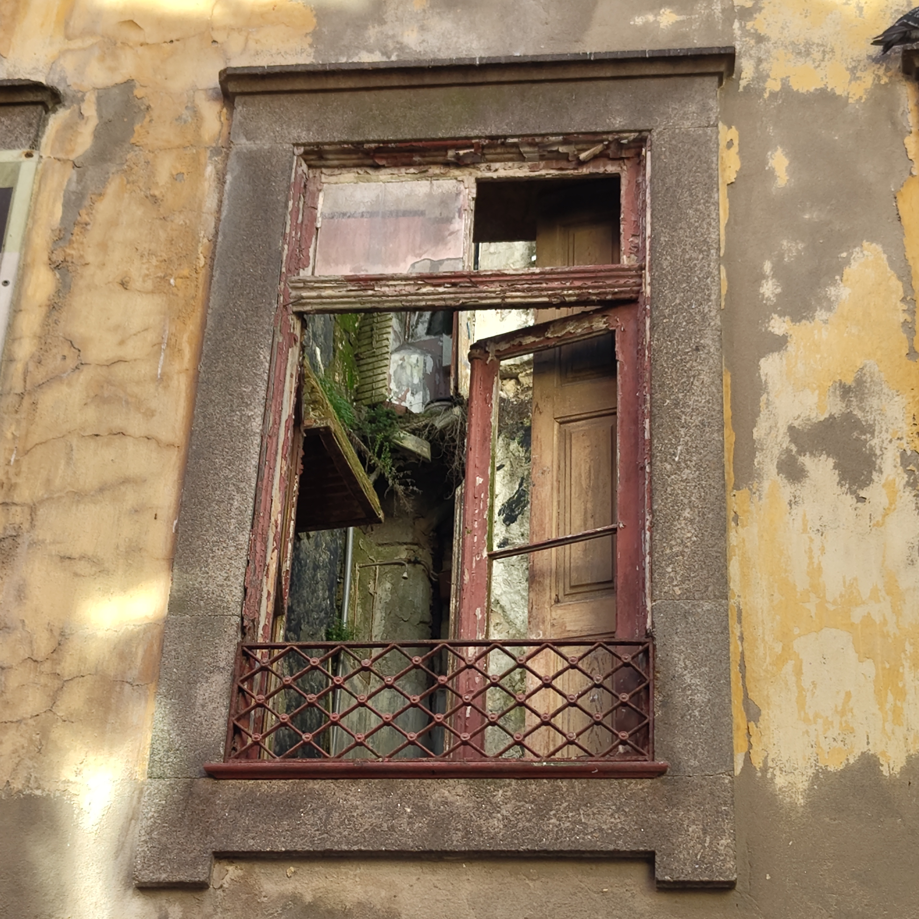Fenster mit Einblick