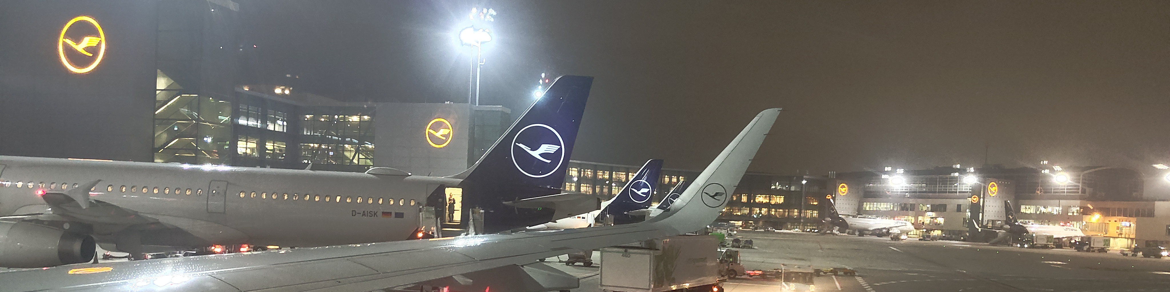 Der Kranich ist gelandet