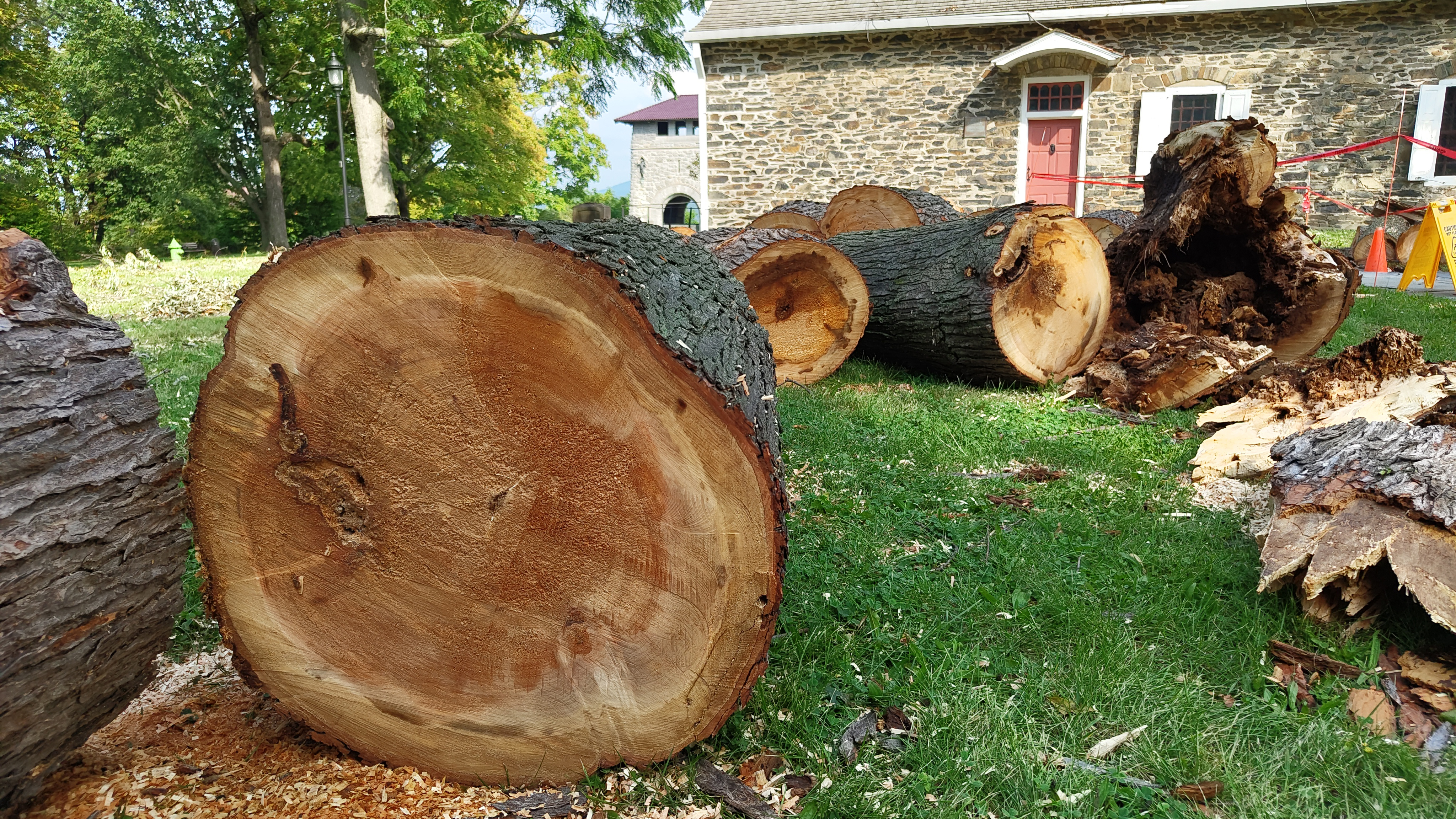 Mehr als 200 Jahre am Boden