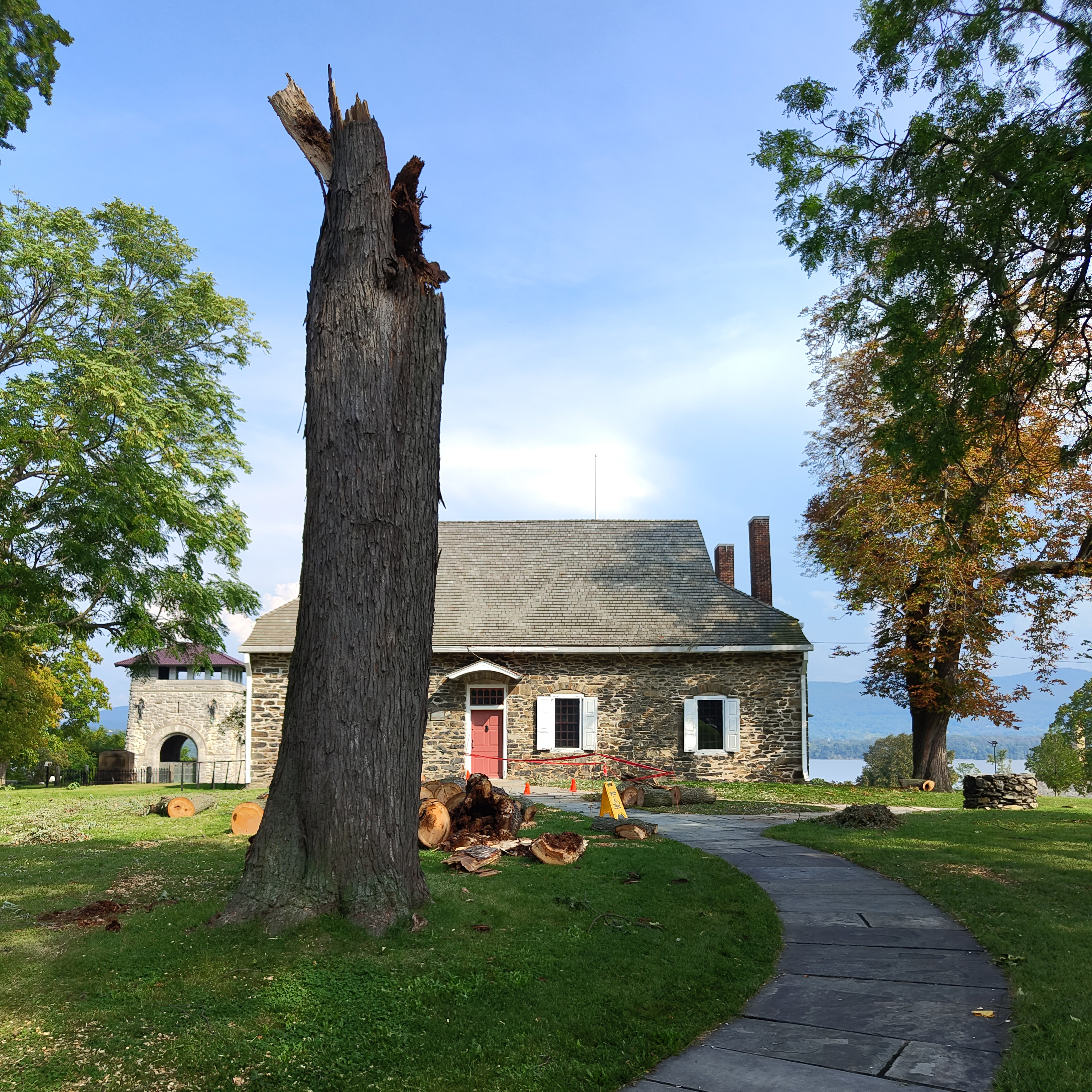 Der gefallene Tulpenbaum vor "Washintion's Headquater"