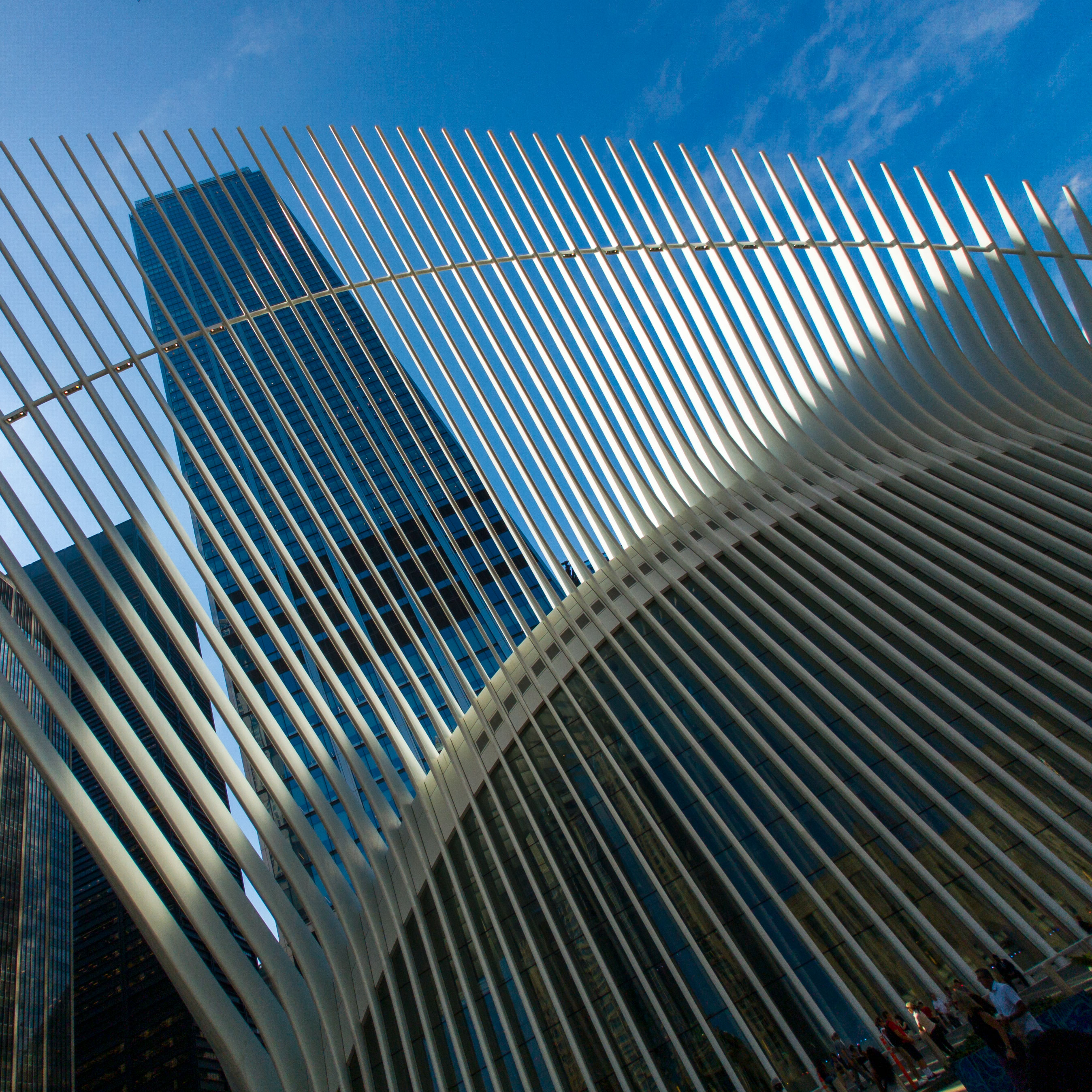 Lichtspiel am Gerippe