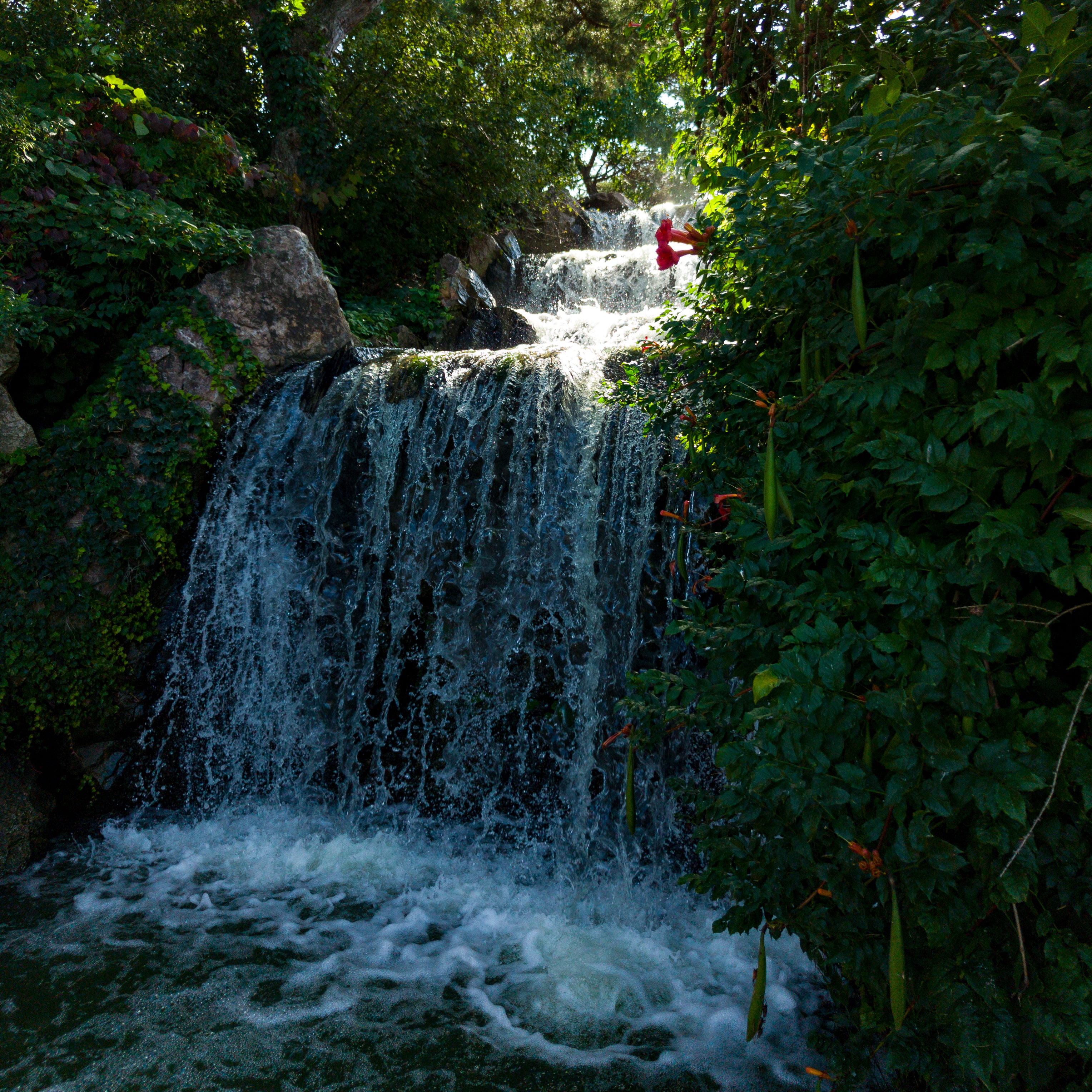 Der Wasserfall im Botanischen Garten von Chicago