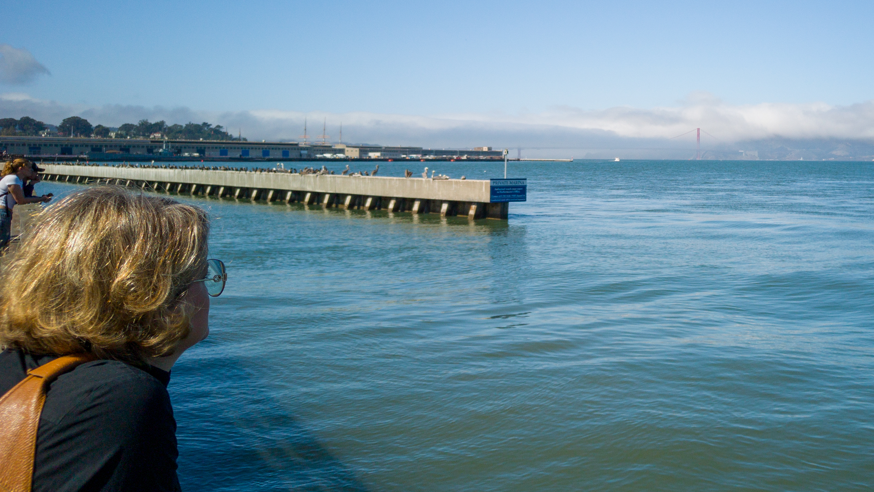 Der Nebel vor der Bay